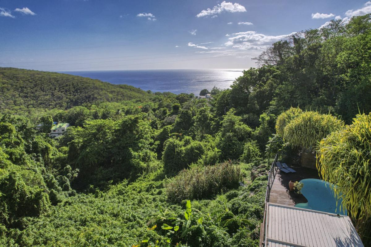 Location Domaine du Rocher Noir Pointe Noire Guadeloupe-espace piscine-65